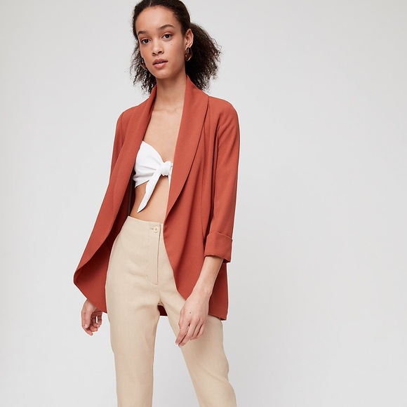 aritzia chevalier jacket